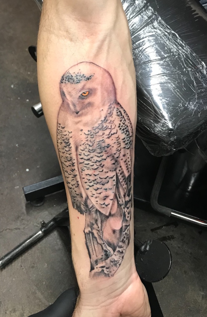 realistic owl tattoo, snow owl tattoo, Johnny calico, black and grey tattoo, owl, owls, arm tattoos